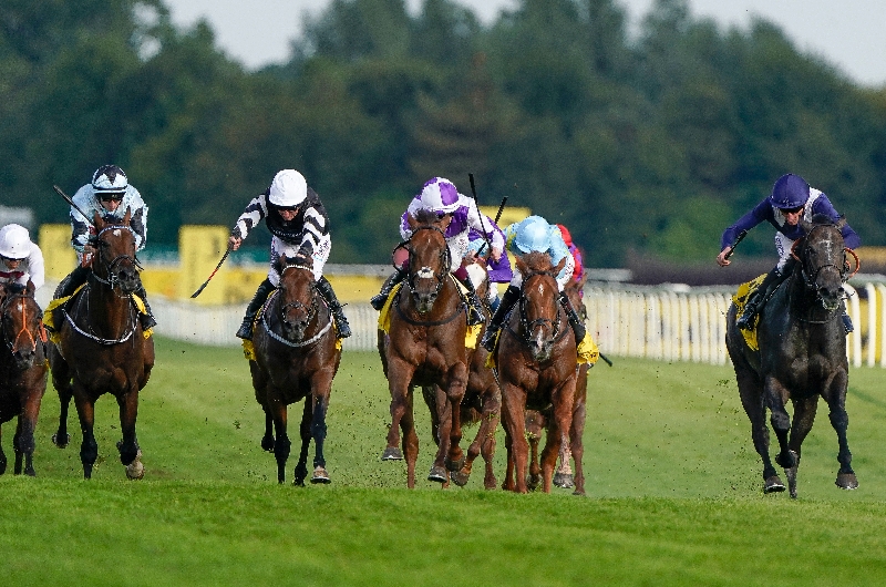 2023 Mill Reef Stakes Tips - 25/1 outsider could spring a surprise at Newbury