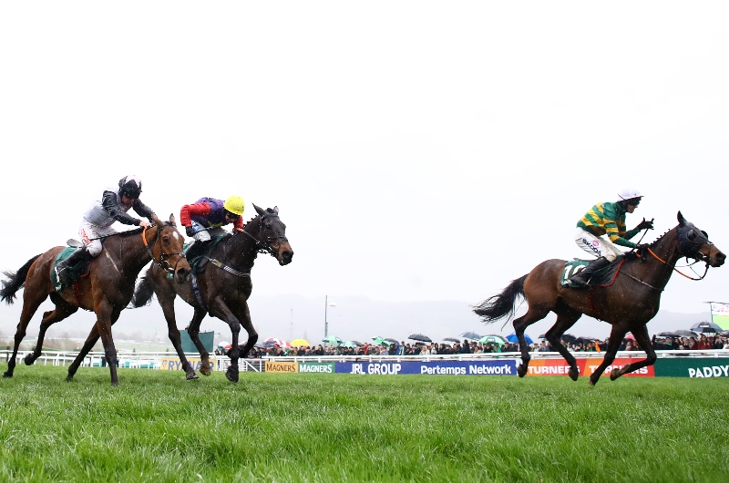 Stayers' Hurdle 2024 Tips - Pre-season guide and preview