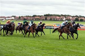ayr racecourse