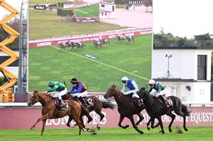 Ace Impact Prix de l'Arc de Triomphe 2023 Odds