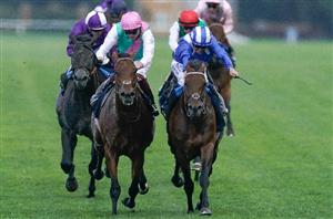 Westover Prix de l'Arc de Triomphe 2023 Odds