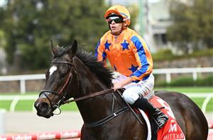 Moir Stakes Tips  - Runner-by-Runner Guide to the Moonee Valley Group 1
