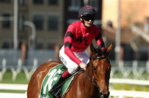 The Metropolitan Tips - Verdict and runner-by-runner guide