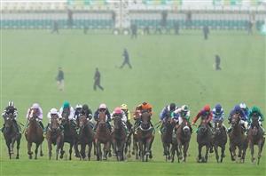 majestic newmarket