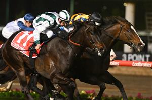 moir stakes