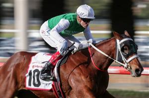 Epsom Handicap Tips - Complete guide to the Randwick Group 1 