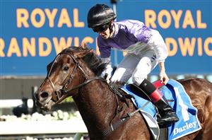 Flight Stakes Tips - Ranking the 12 contenders for the Randwick G1