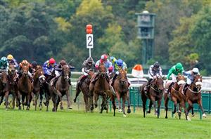 Newspaper Racing Tips - Arc favourite Ace Impact fancied at Longchamp