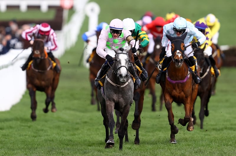 Mares' Hurdle 2024 Tips - Pre-season guide and preview