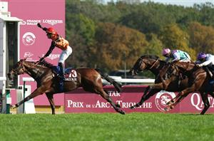 Westover and Highfield Princess handed Breeders' Cup assignments