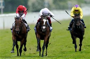 2023 Champions Fillies & Mares Odds - Free Wind the Champions Day favourite