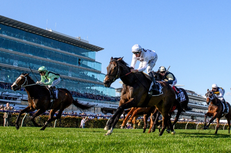 Flemington Betting Tips for October 7, 2023 RaceByRace preview for