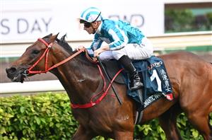 Turnbull Stakes Tips - Runner-by-Runner Guide to the Flemington Group 1