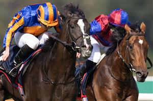 2023 Breeders' Cup Turf Odds - Auguste Rodin leads Mostahdaf in Santa Anita betting