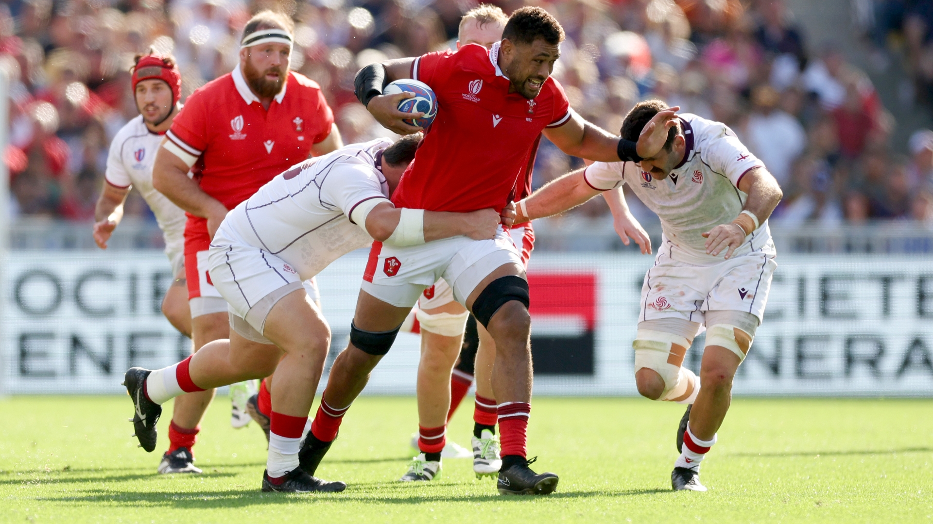 Wales vs Argentina Live Stream & Tips Low scoring game expected in first quarterfinal