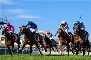 Caulfield Guineas 2023 Betting Tips - Steparty has the tactical edge