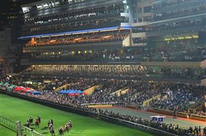 Happy Valley Tips on October 11 - More Luck for Purton
