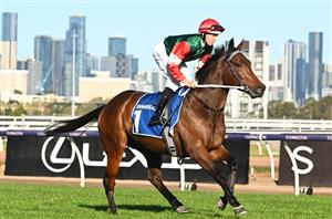 Toorak Handicap Tips - Complete guide to the Caulfield Group 1 handicap