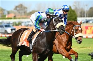 The Everest Tips - Ranking the 12 contenders for the $20m Randwick showpiece