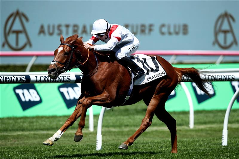 SYDNEY, AUSTRALIA - OCTOBER 14: Tyler Schiller riding Land Legend wins Race 1 The Moet & Chandon St Leger Stakes during Sydney Racing at Royal Randwick Racecourse on October 14, 2023 in Sydney, Australia. (Photo by Jason McCawley/Getty Images)