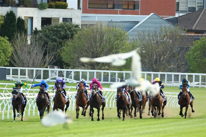 SYDNEY, AUSTRALIA - OCTOBER 14: James Mcdonald riding Fangirl  wins Race 9 King Charles III Stakes during Sydney Racing - TAB Everest Day at Royal Randwick Racecourse on October 14, 2023 in Sydney, Australia. (Photo by Jeremy Ng/Getty Images)