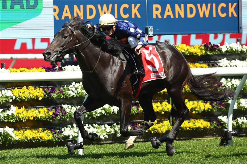 SYDNEY, AUSTRALIA - OCTOBER 14: Regan Bayliss riding Raf Attack wins Race 4 Toyota Forklift Gloaming Stakes during Sydney Racing - TAB Everest Day at Royal Randwick Racecourse on October 14, 2023 in Sydney, Australia. (Photo by Jeremy Ng/Getty Images)