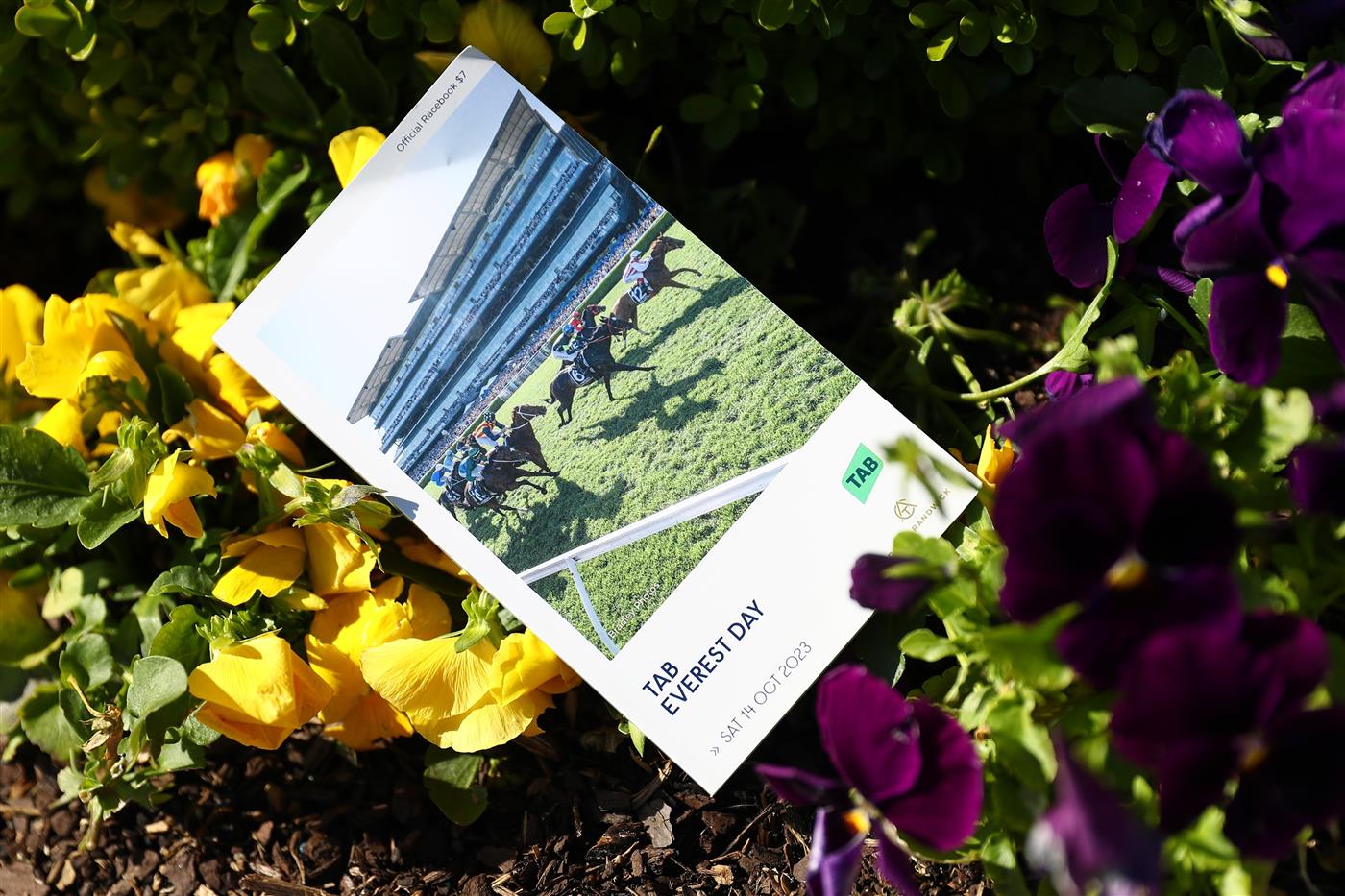 SYDNEY, AUSTRALIA - OCTOBER 14: An official racebook is seen prior to the Sydney Racing - TAB Everest Day at Royal Randwick Racecourse on October 14, 2023 in Sydney, Australia. (Photo by Jeremy Ng/Getty Images)