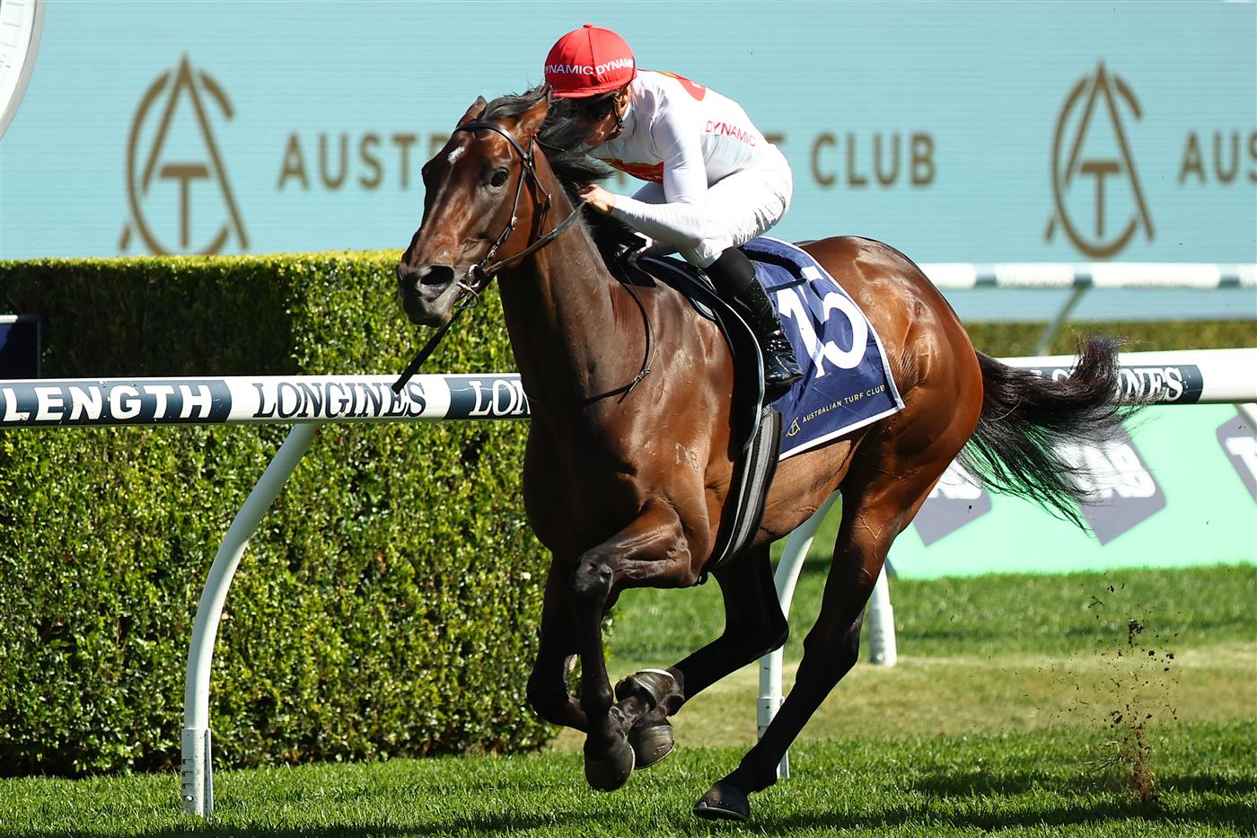 SYDNEY, AUSTRALIA - OCTOBER 14: James Mcdonald riding  I Am Me wins Race 6 Feel New Sydney Stakes during Sydney Racing - TAB Everest Day at Royal Randwick Racecourse on October 14, 2023 in Sydney, Australia. (Photo by Jeremy Ng/Getty Images)