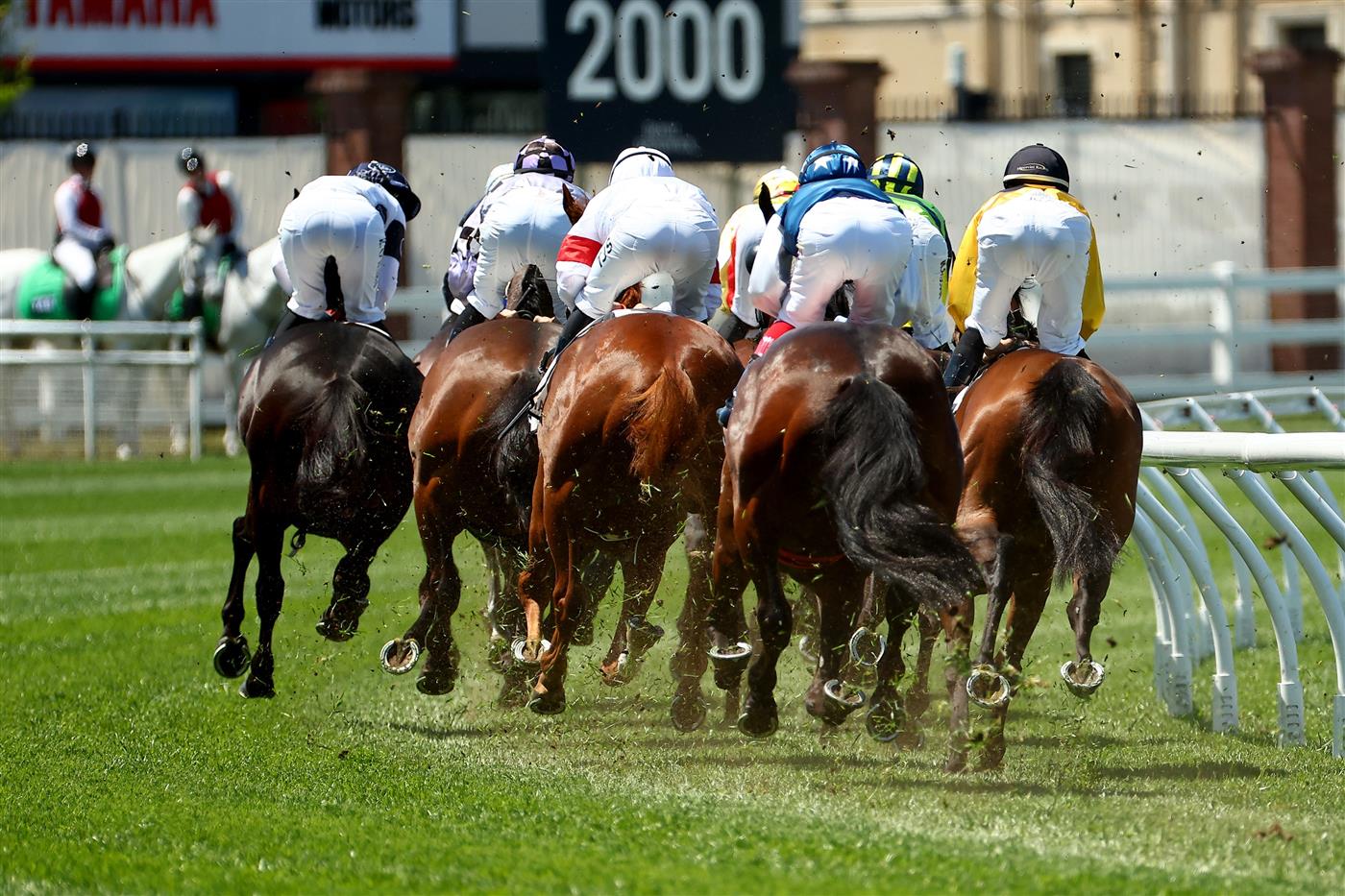 SYDNEY, AUSTRALIA - OCTOBER 14:  Race action in Race 1 Moet & Chandon St Leger Stakes during Sydney Racing - TAB Everest Day at Royal Randwick Racecourse on October 14, 2023 in Sydney, Australia. (Photo by Jeremy Ng/Getty Images)