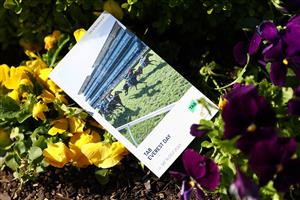 SYDNEY, AUSTRALIA - OCTOBER 14: An official racebook is seen prior to the Sydney Racing - TAB Everest Day at Royal Randwick Racecourse on October 14, 2023 in Sydney, Australia. (Photo by Jeremy Ng/Getty Images)