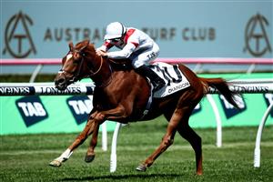 SYDNEY, AUSTRALIA - OCTOBER 14: Tyler Schiller riding Land Legend wins Race 1 The Moet & Chandon St Leger Stakes during Sydney Racing at Royal Randwick Racecourse on October 14, 2023 in Sydney, Australia. (Photo by Jason McCawley/Getty Images)