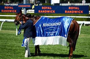 SYDNEY, AUSTRALIA - OCTOBER 14: Front Page ridden by Tyler Schiller riding after winning Race 5 The Kosciusko during Sydney Racing at Royal Randwick Racecourse on October 14, 2023 in Sydney, Australia. (Photo by Jason McCawley/Getty Images)