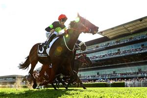 SYDNEY, AUSTRALIA - OCTOBER 14: Sam Clipperton riding Think About It  wins Race 7 The TAB Everest during Sydney Racing - TAB Everest Day at Royal Randwick Racecourse on October 14, 2023 in Sydney, Australia. (Photo by Jeremy Ng/Getty Images)