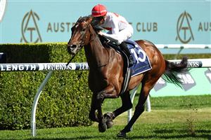SYDNEY, AUSTRALIA - OCTOBER 14: James Mcdonald riding  I Am Me wins Race 6 Feel New Sydney Stakes during Sydney Racing - TAB Everest Day at Royal Randwick Racecourse on October 14, 2023 in Sydney, Australia. (Photo by Jeremy Ng/Getty Images)