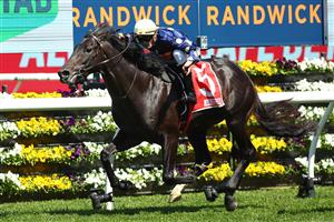 SYDNEY, AUSTRALIA - OCTOBER 14: Regan Bayliss riding Raf Attack wins Race 4 Toyota Forklift Gloaming Stakes during Sydney Racing - TAB Everest Day at Royal Randwick Racecourse on October 14, 2023 in Sydney, Australia. (Photo by Jeremy Ng/Getty Images)