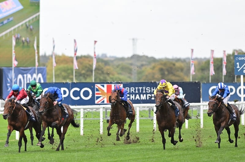British Champions Day 2023 Tips - October 21