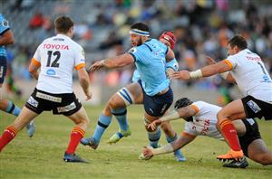 Bulls rugby