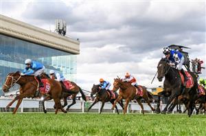 Caulfield Tips for 21.10.2023