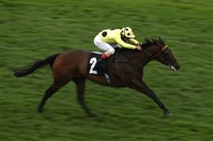 2023 Caulfield Cup Tips - Will the Fight be won at Caulfield?