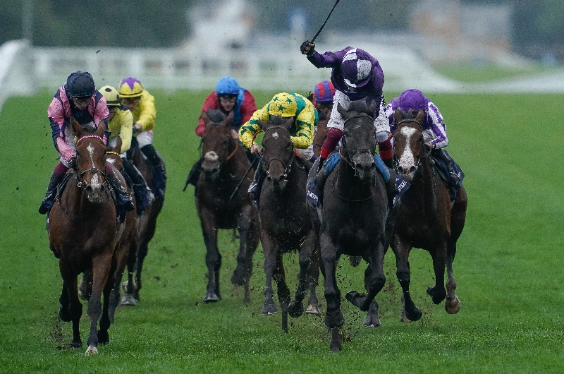 ascot