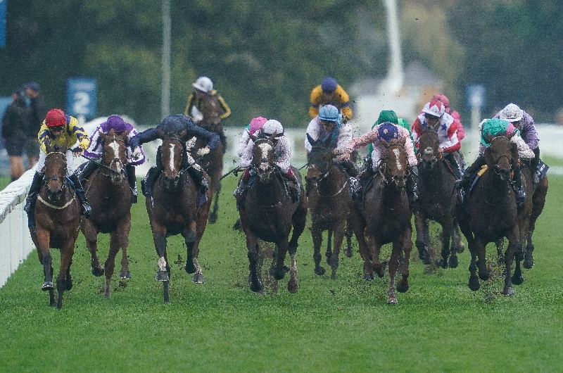 ascot