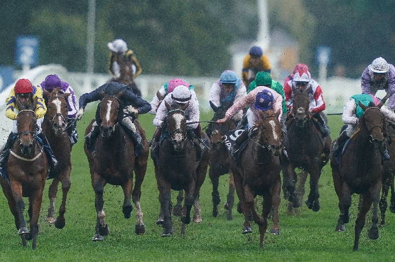 ascot