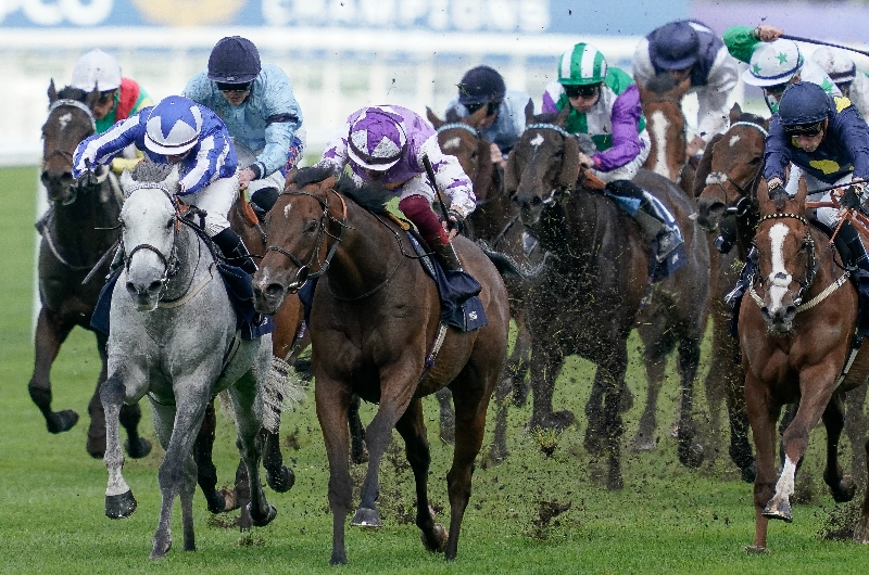 ascot