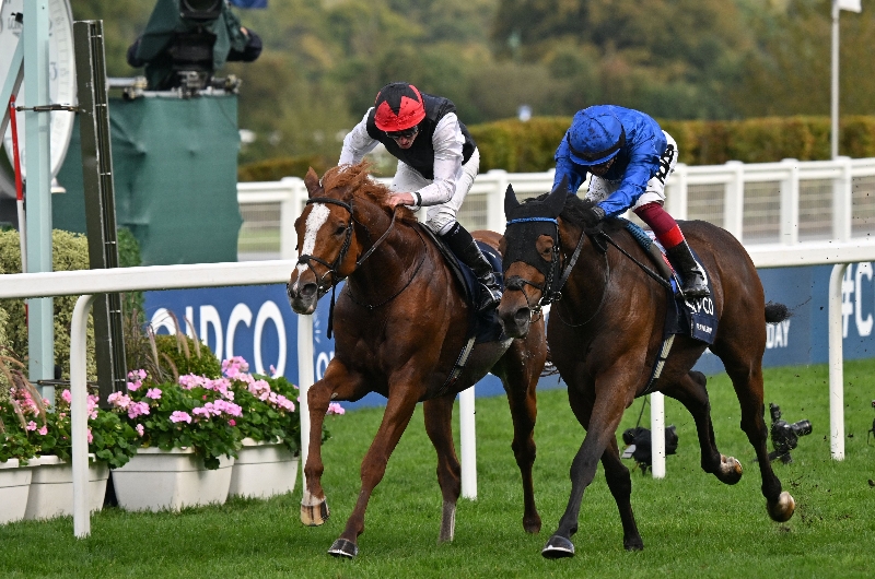 ascot