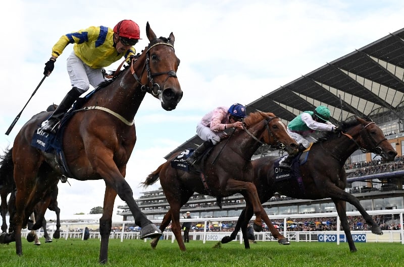 ascot
