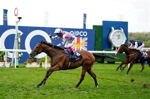 kinross ascot