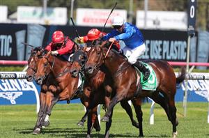 Spring Champion Stakes Odds - Tom Kitten favourite to win Randwick Group 1