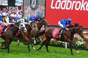 cox plate moonee