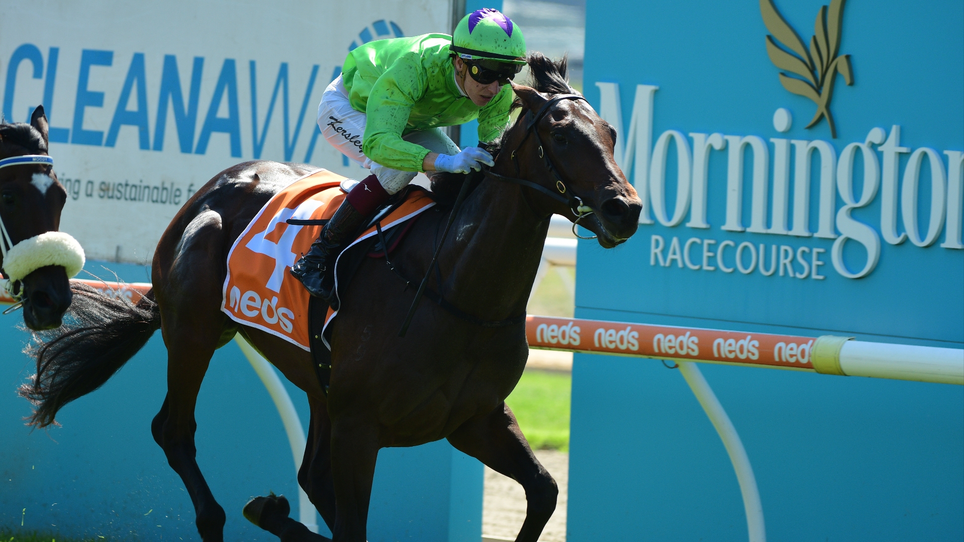 Geelong Cup Tips RunnerbyRunner Guide to the Geelong Cup feature