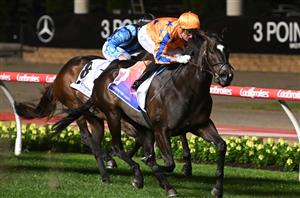 Manikato Stakes Tips - Complete guide to the Moonee Valley Group 1 sprint